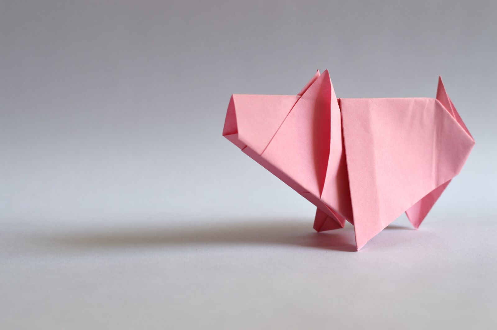 Nikon D3200 sample photo. Paper, pork, symbol photography