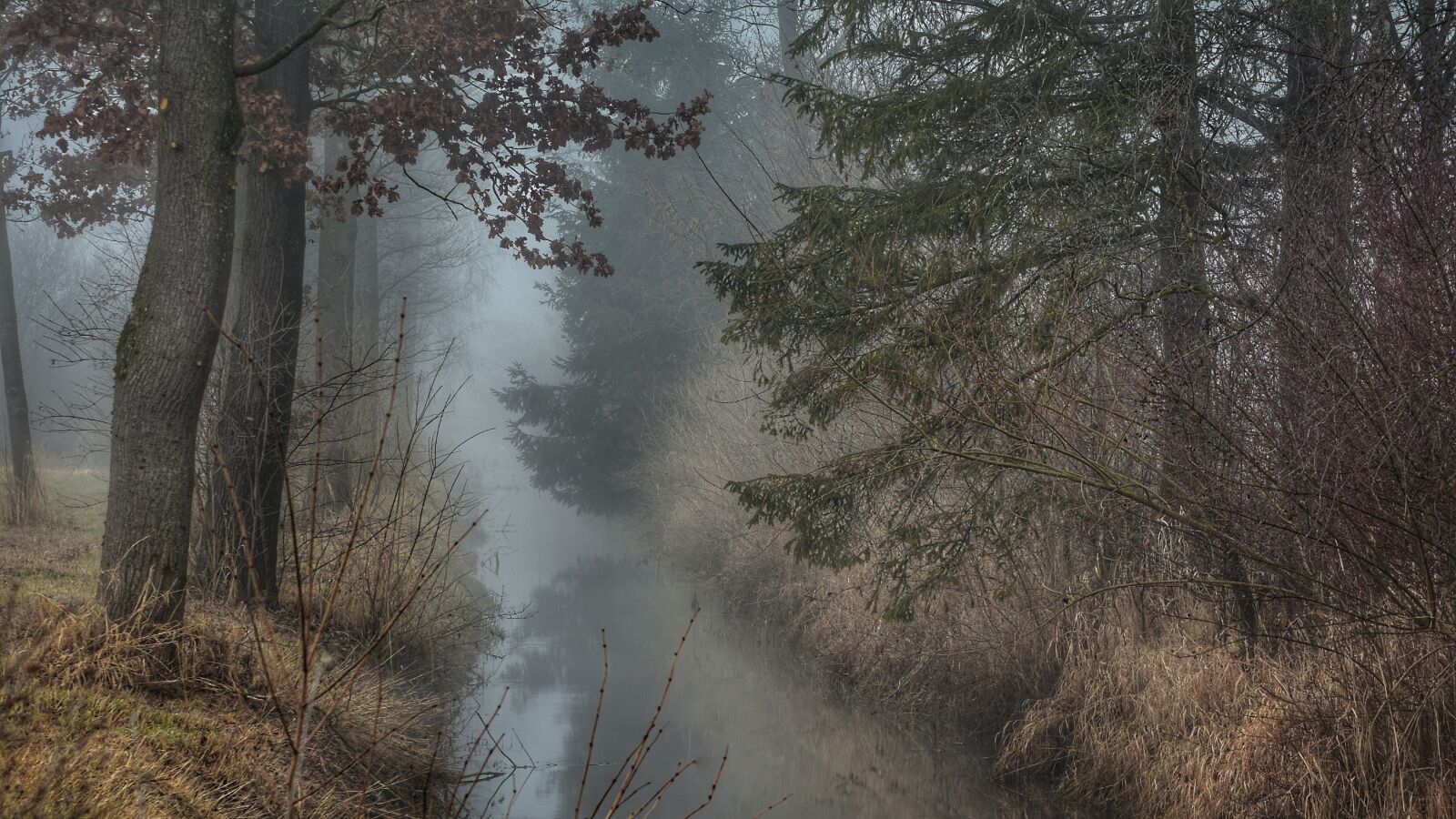 Nikon D7200 sample photo. Moorland, walk, moor photography