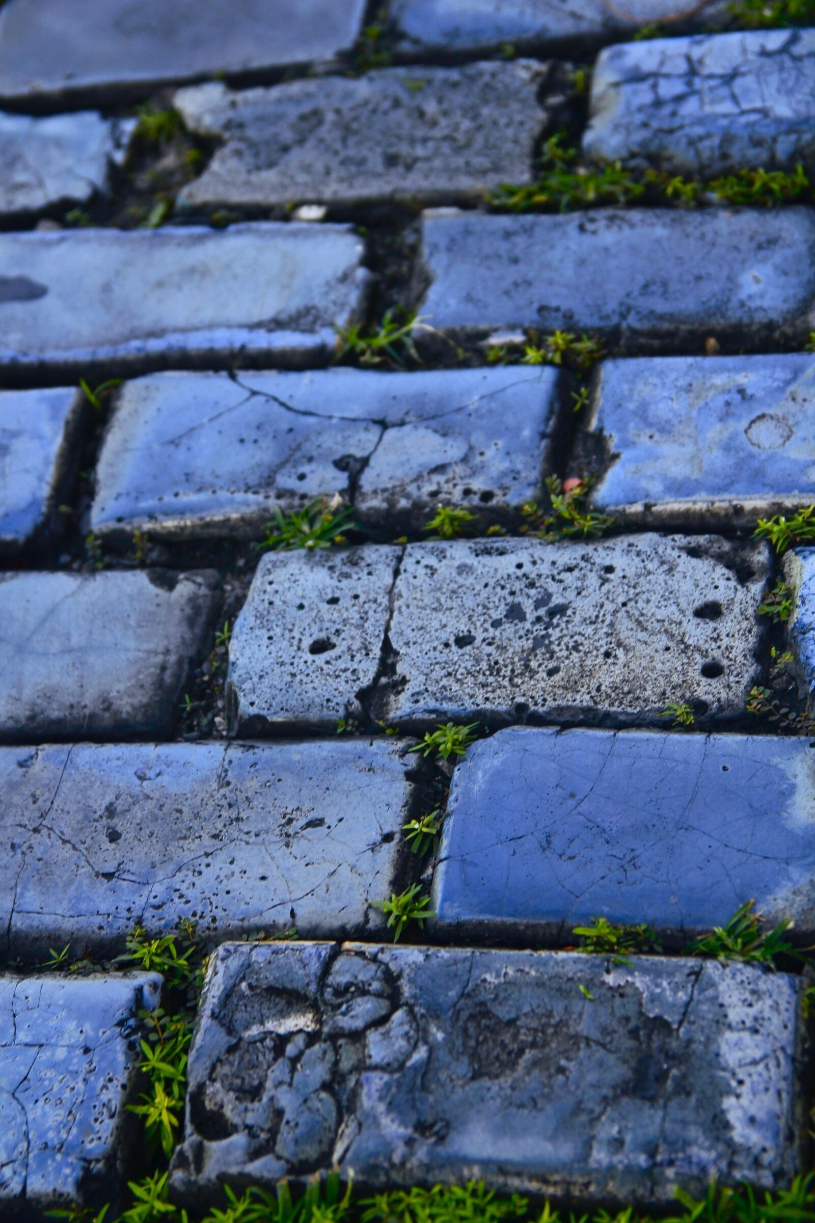 Canon EOS 550D (EOS Rebel T2i / EOS Kiss X4) sample photo. Street, bricks, design photography