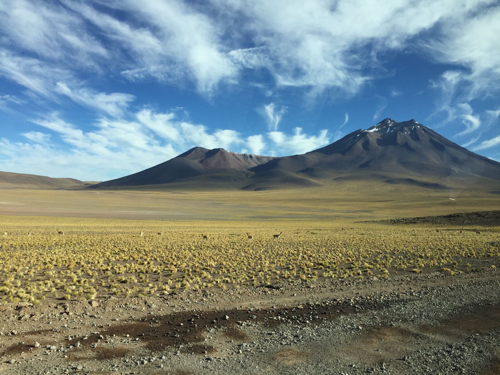 Apple iPhone 6 sample photo. Desert, mountain, nature photography