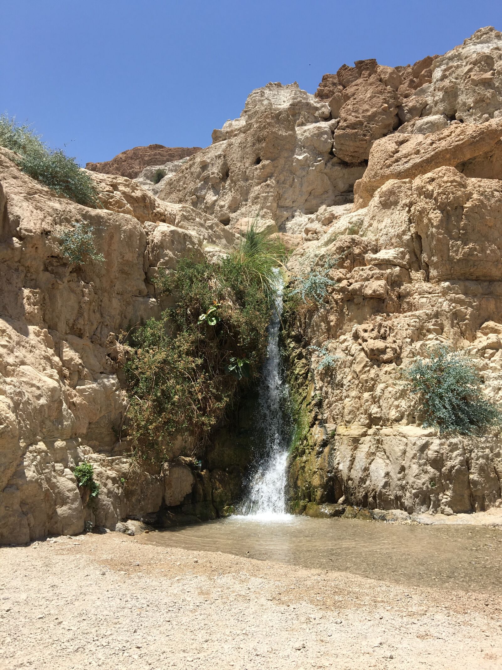 Apple iPhone 6s Plus sample photo. Eingeti, israel, desert photography