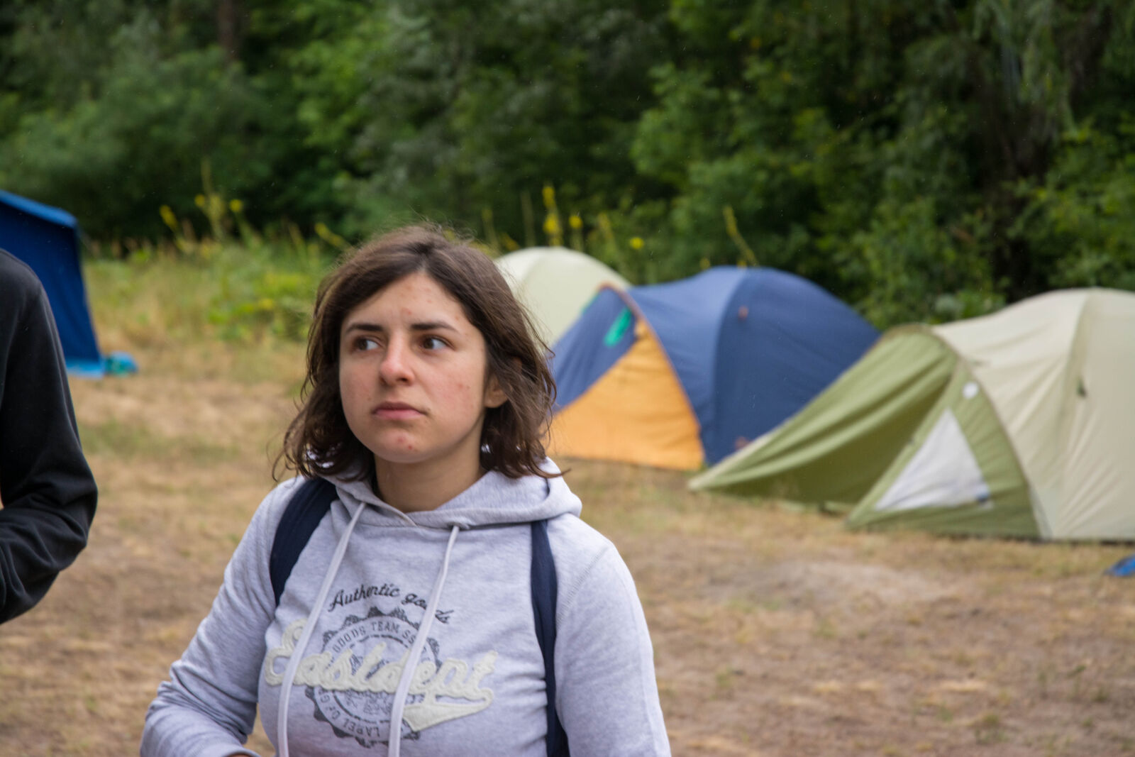 Nikon D7100 sample photo. Camp, dip, forest, pine photography