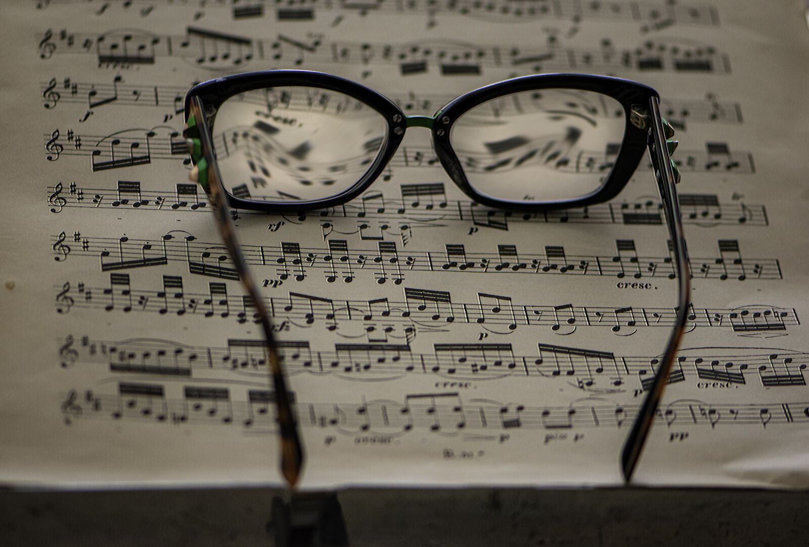 Nikon D5600 sample photo. Blurred vision, eyeglasses, scrape photography