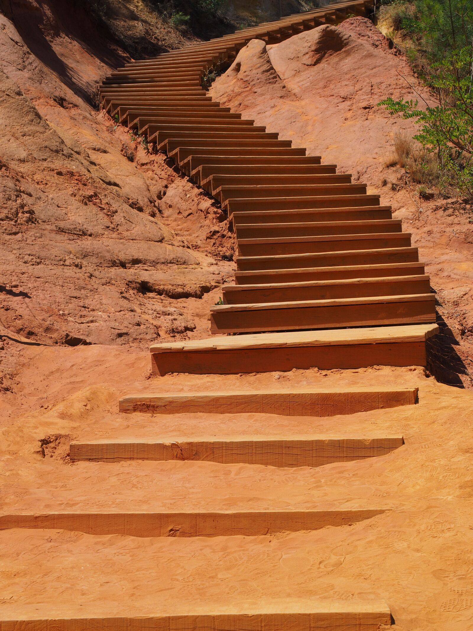 Olympus OM-D E-M1 + Olympus M.Zuiko Digital ED 12-40mm F2.8 Pro sample photo. Stairs, gradually, nature park photography