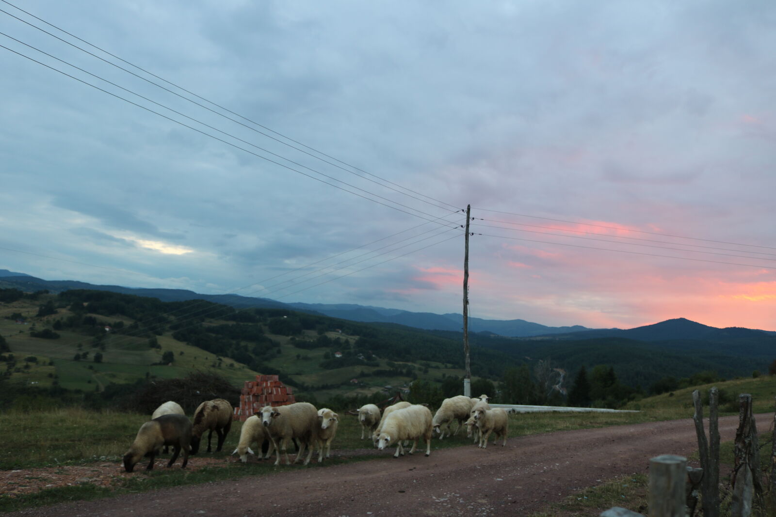 Canon EOS 750D (EOS Rebel T6i / EOS Kiss X8i) sample photo. Animal, blue, evening, sun photography