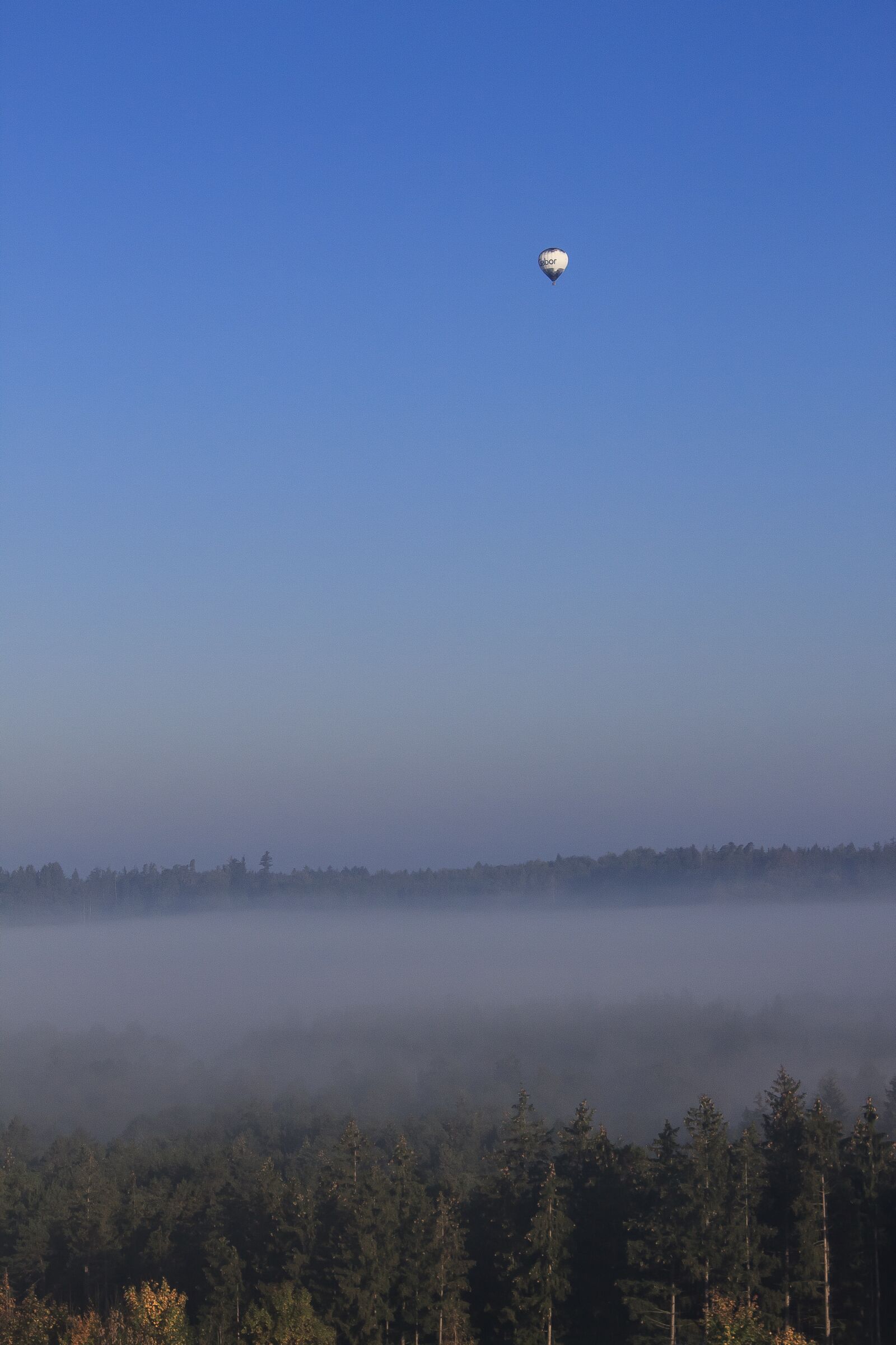 Canon EOS 1300D (EOS Rebel T6 / EOS Kiss X80) sample photo. Balloon, morgenstimmung, fog photography