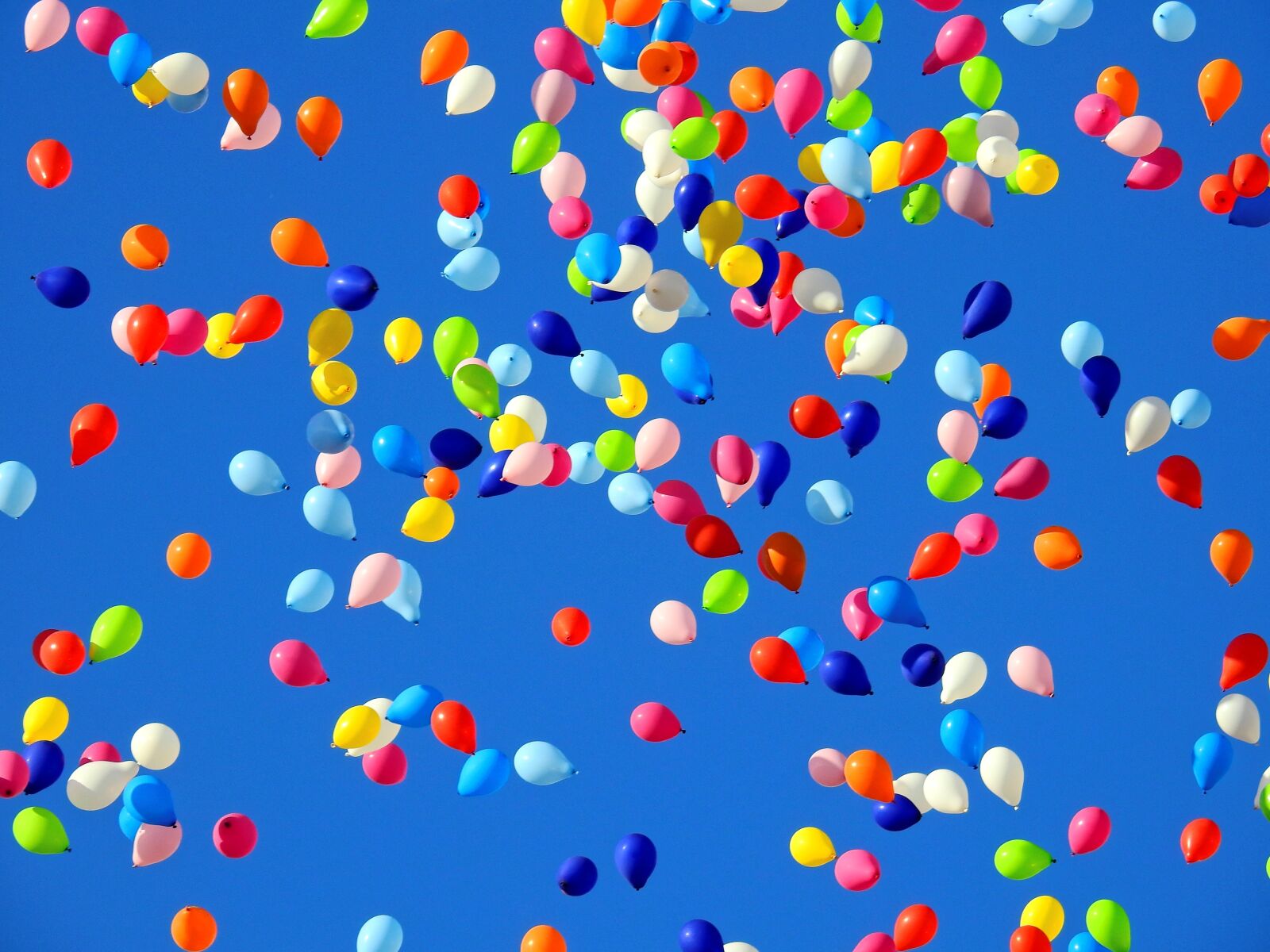 Nikon Coolpix P900 sample photo. Balloon, party, carnival photography
