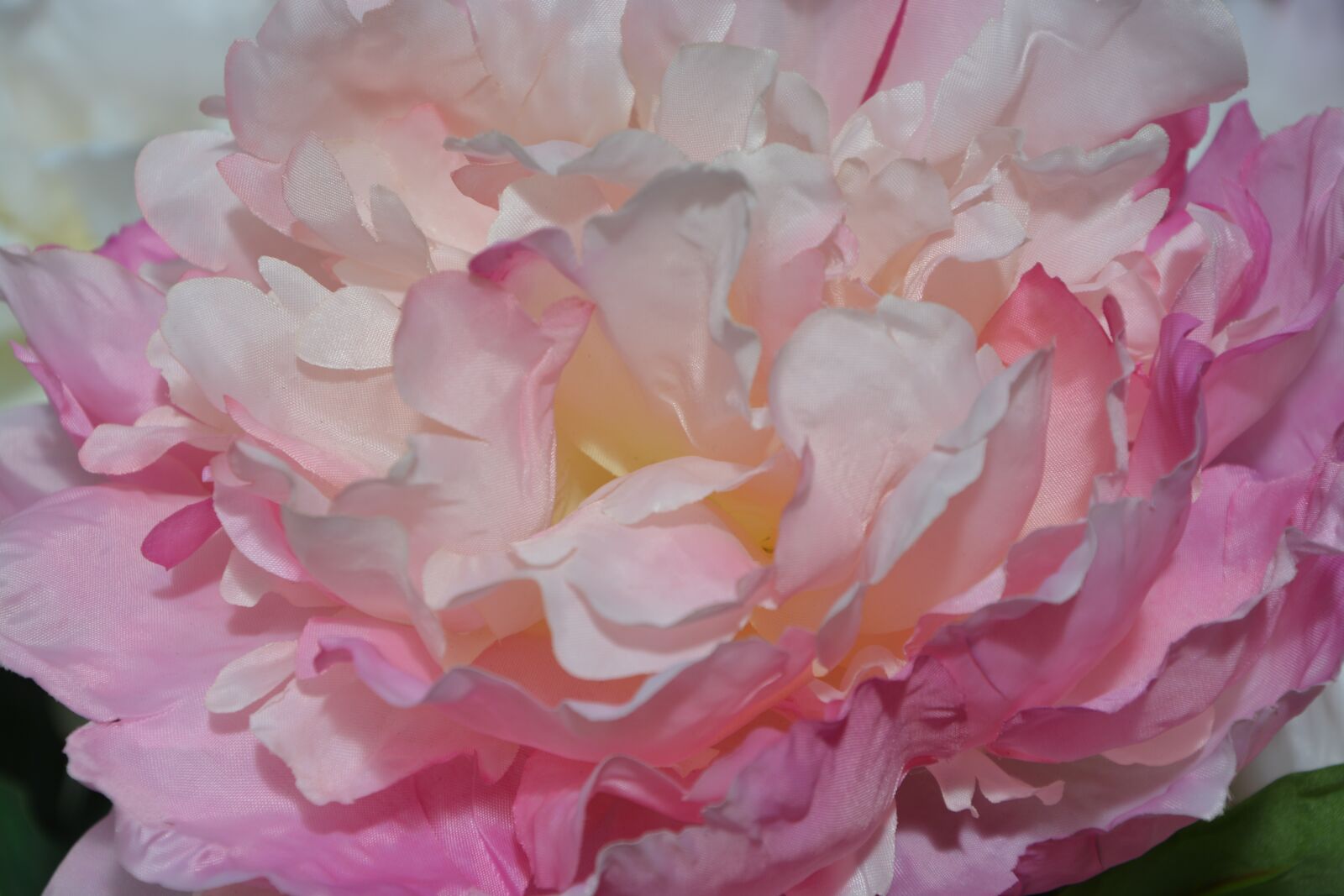 Nikon D5200 sample photo. Flower, fabric flower, color photography