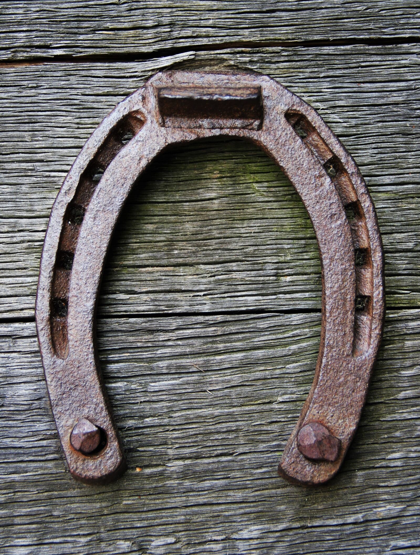 Canon EOS 550D (EOS Rebel T2i / EOS Kiss X4) sample photo. Horseshoe, horse, lucky charm photography