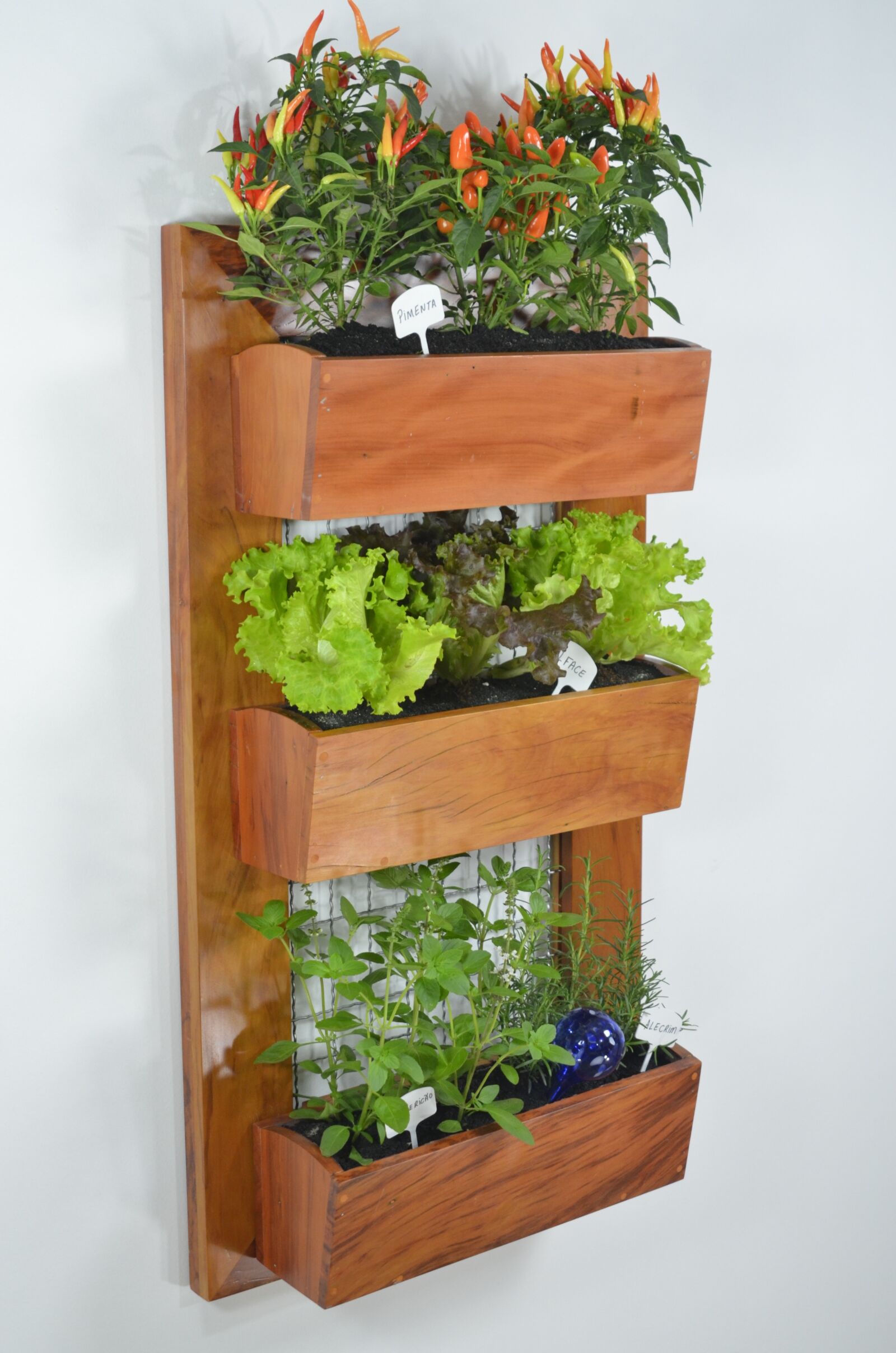 Nikon D7000 sample photo. Garden, vertical garden, gardening photography