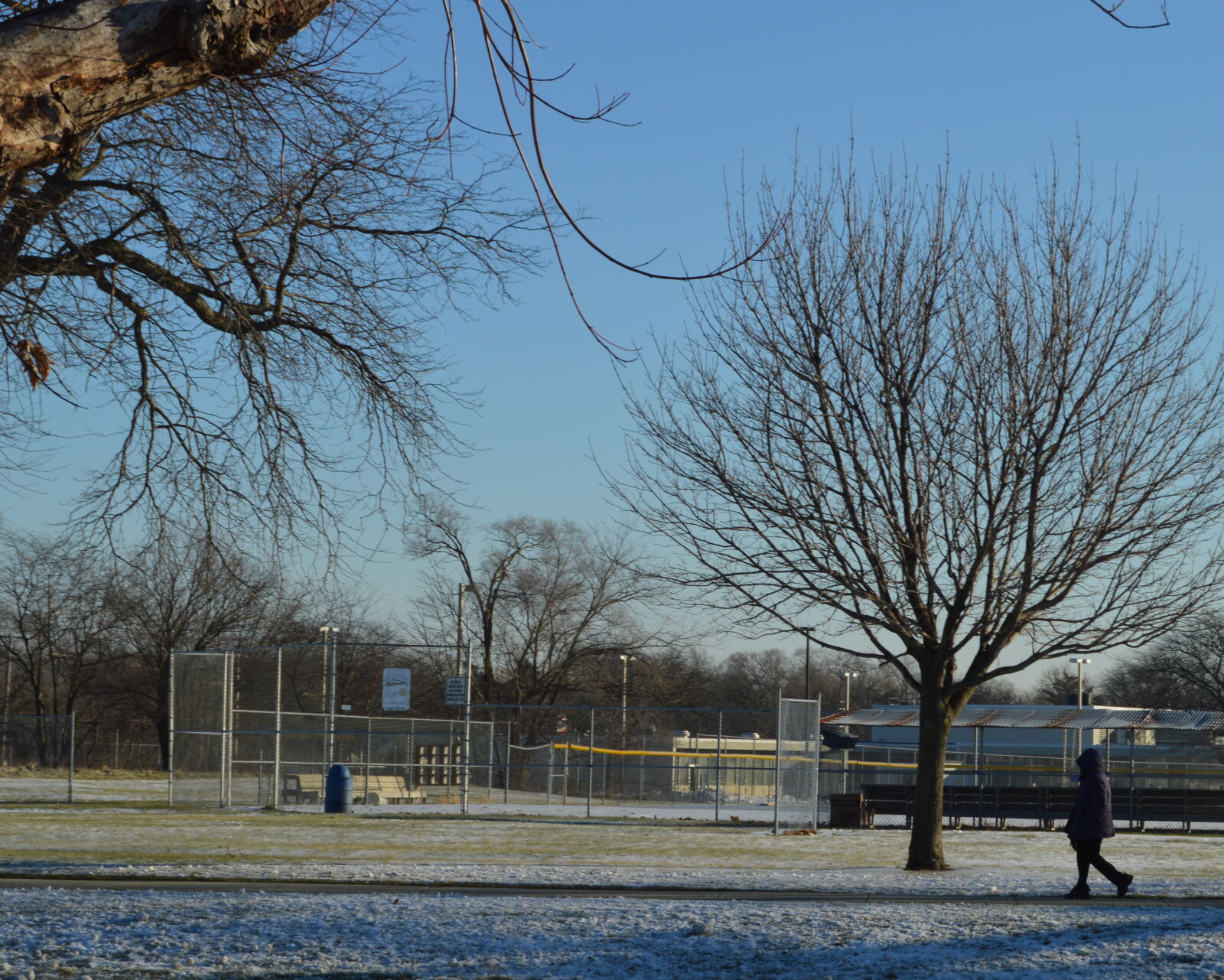 Nikon D3200 sample photo