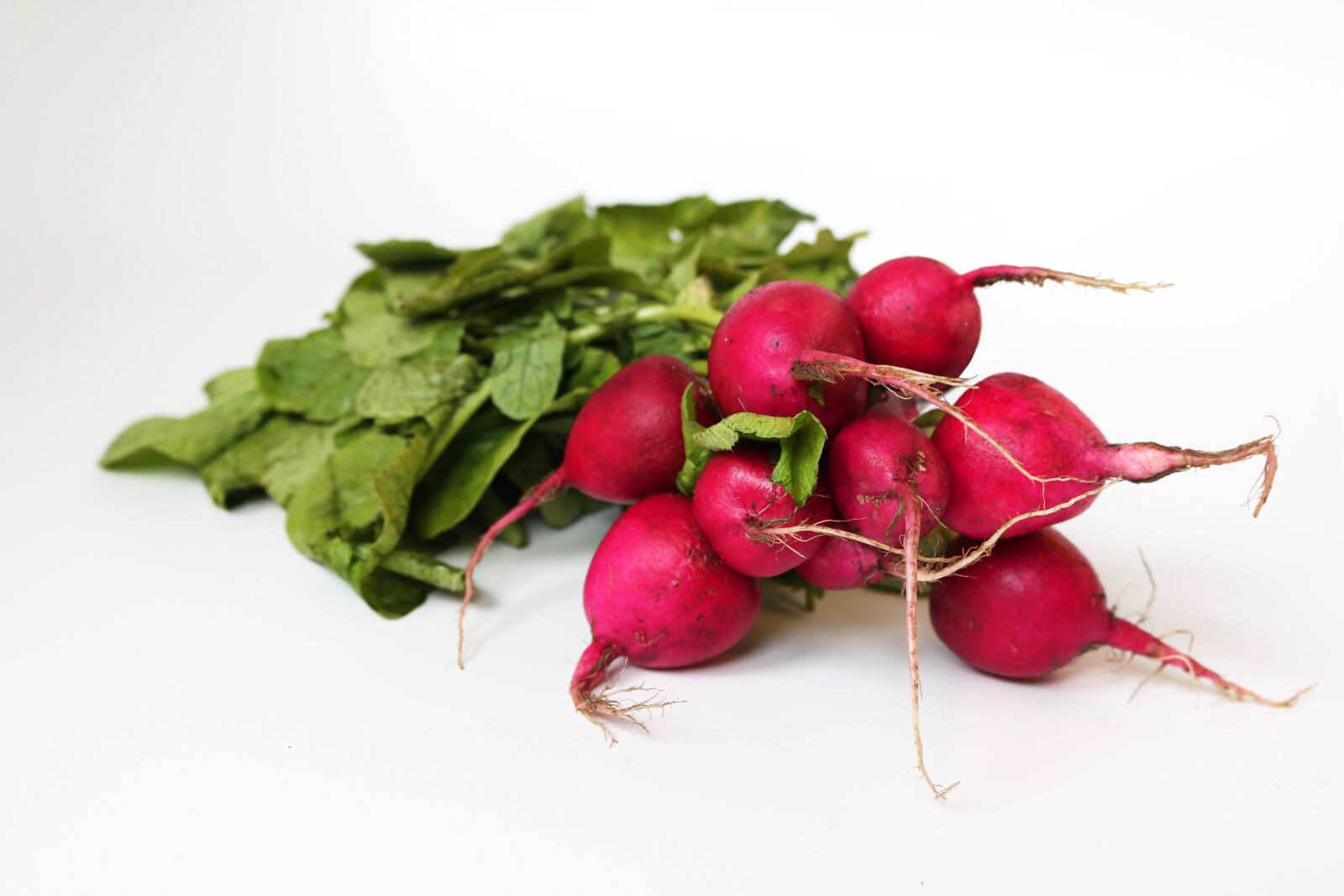 Canon EOS 70D sample photo. Radish, radishes, vegetables photography