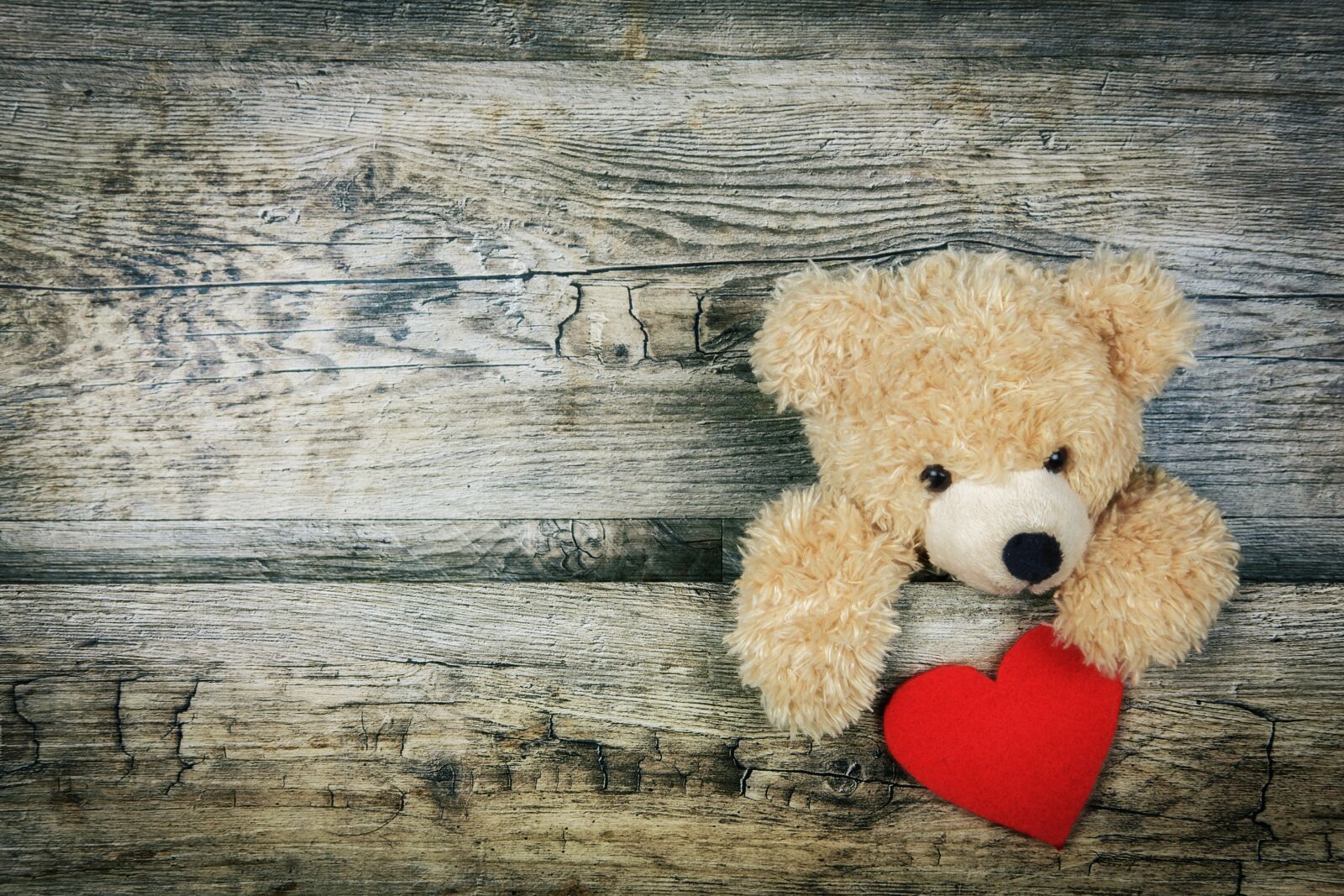 Fujifilm X-T2 + Fujifilm XF 35mm F2 R WR sample photo. Heart, love, romance photography