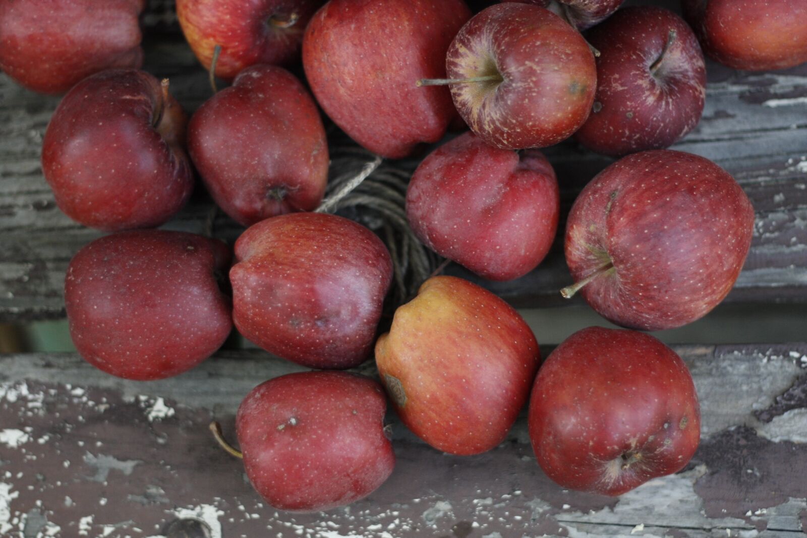 Canon EOS 450D (EOS Rebel XSi / EOS Kiss X2) sample photo. Apples, autumn, fruit photography