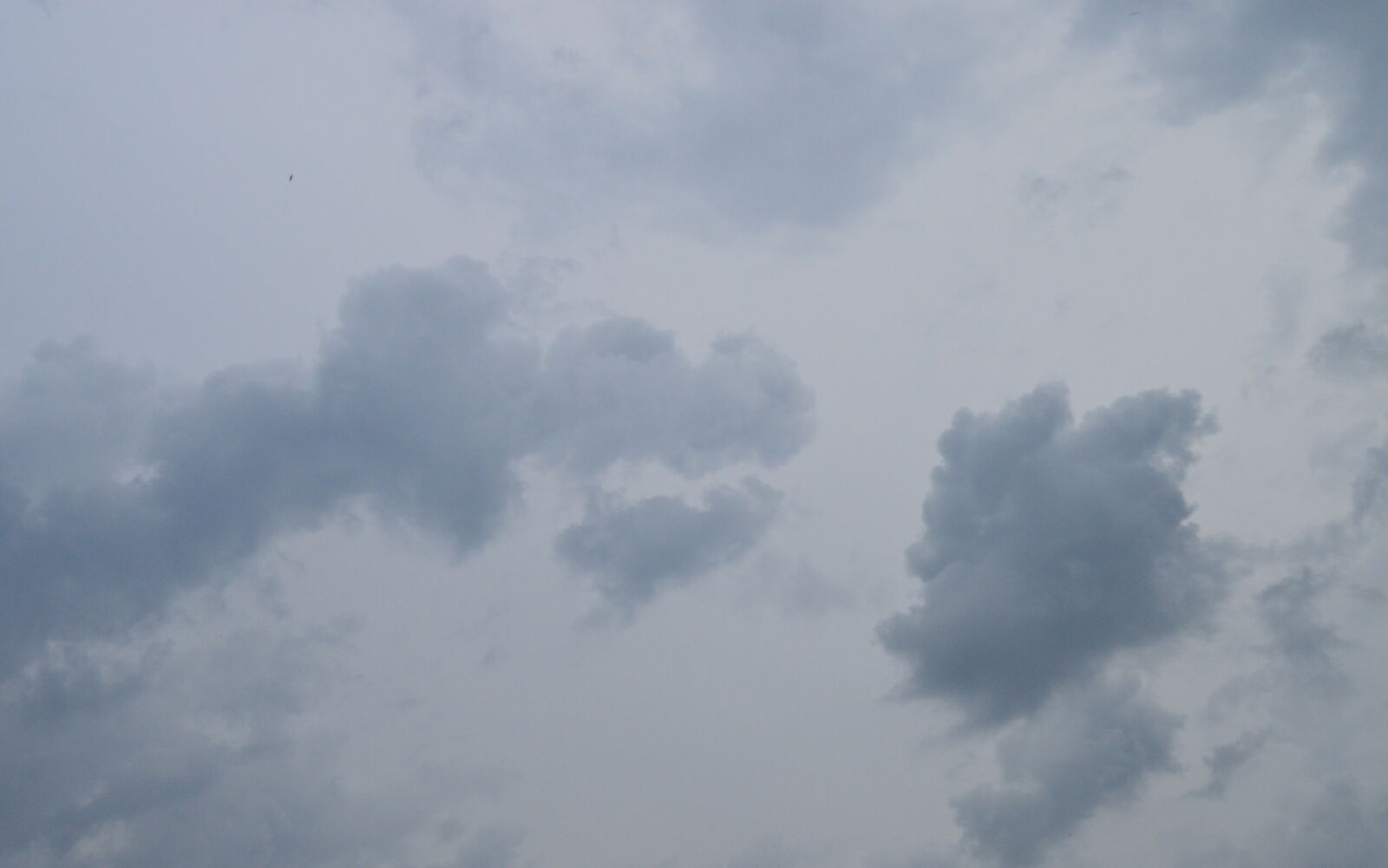 Nikon D3200 sample photo
