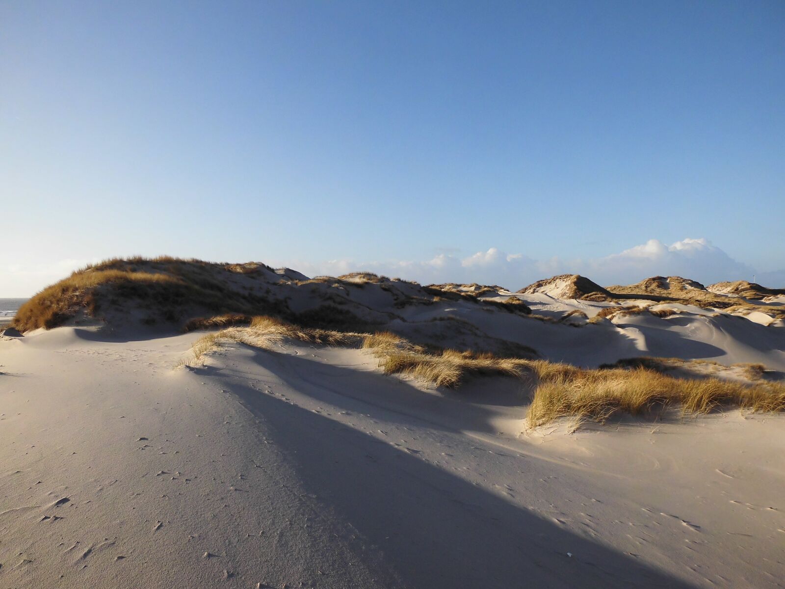 MEDION MD86824 sample photo. Sand, dunes, amrum photography