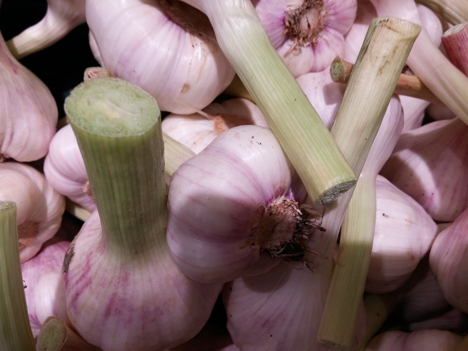 LG D855 sample photo. Garlic, tuber, fresh photography