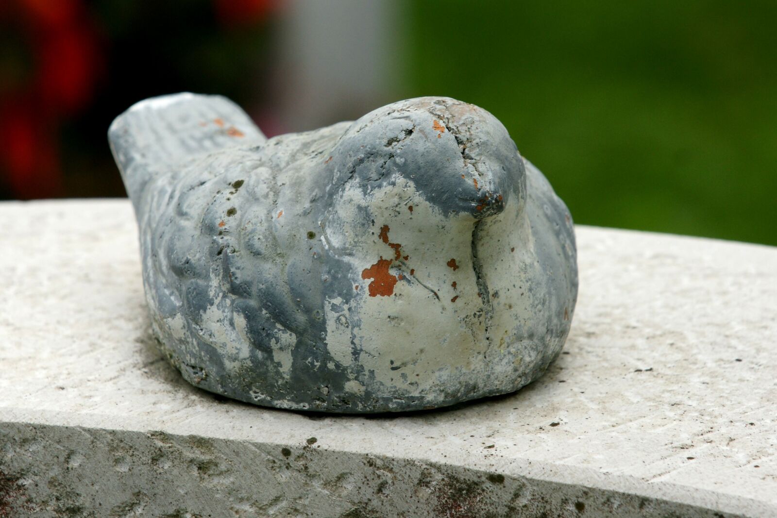 Sony Alpha DSLR-A700 sample photo. Bird, stone, art photography