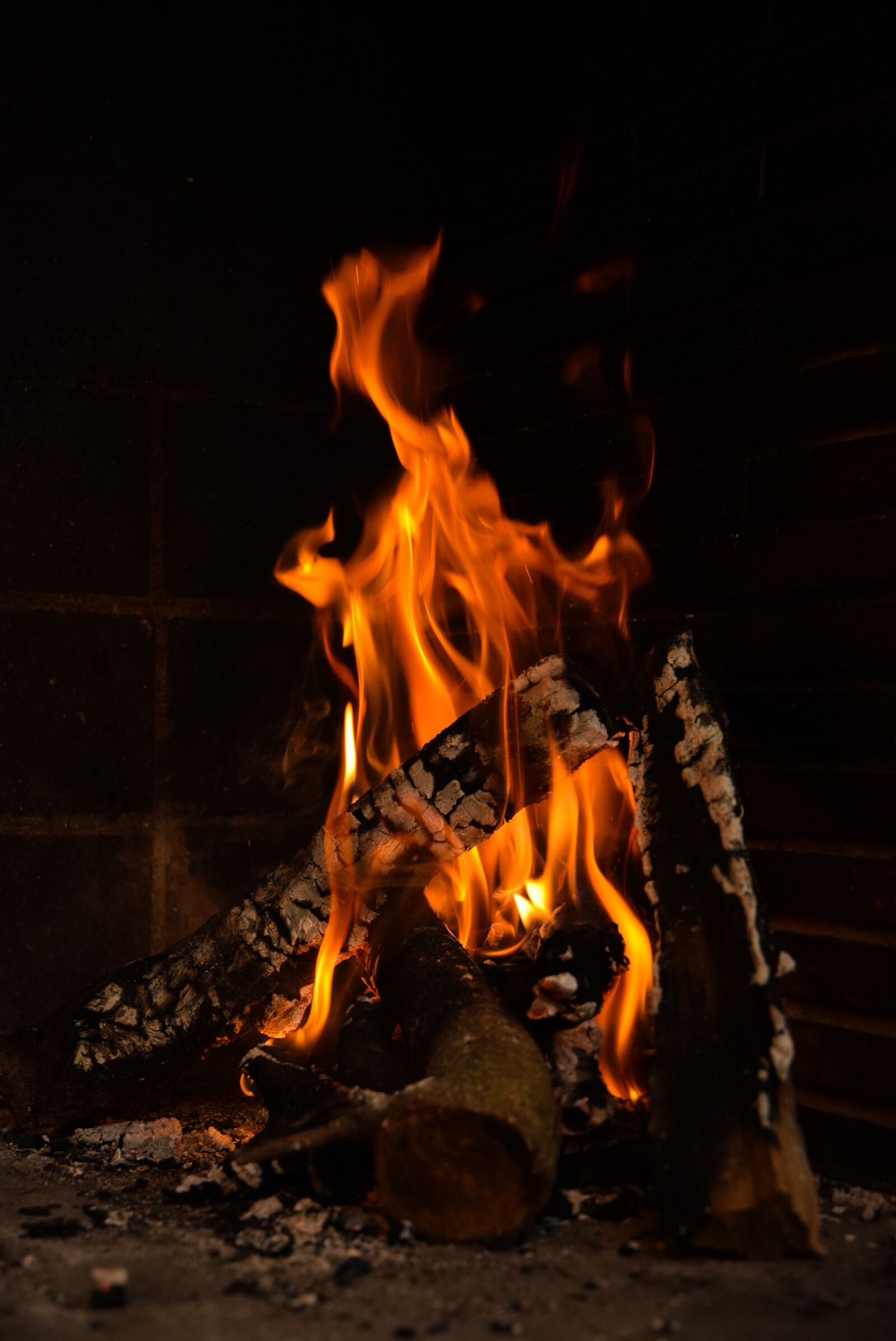Nikon D5300 sample photo. Fire, bonfire, embers photography