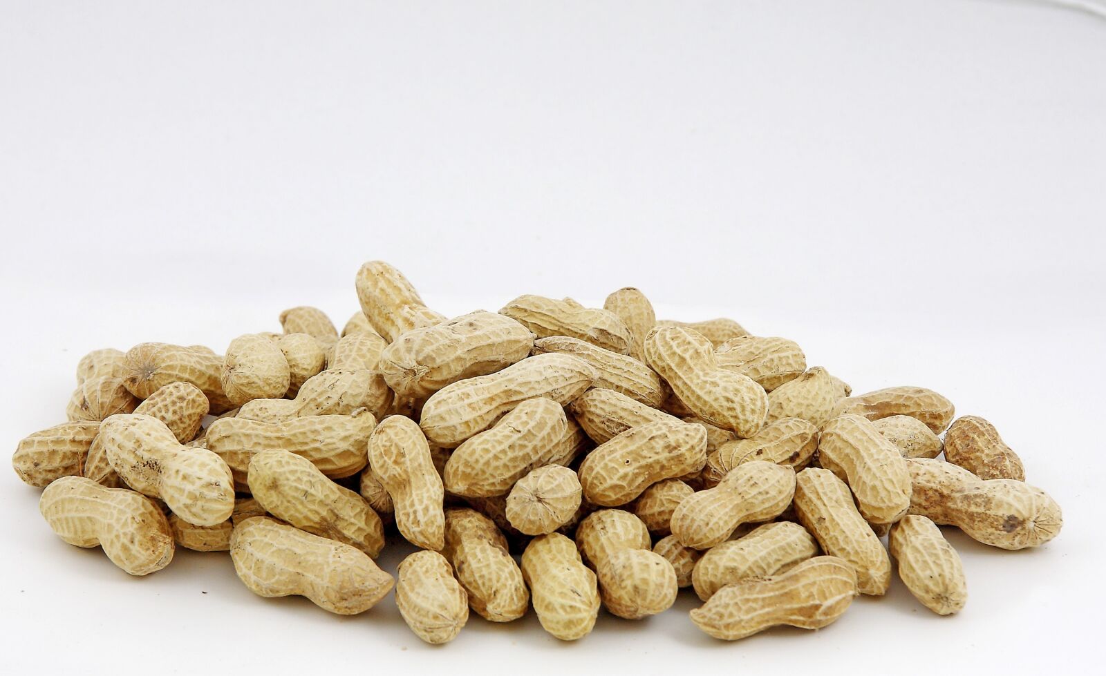 Canon EOS 40D sample photo. Peanut, dry fruit, food photography