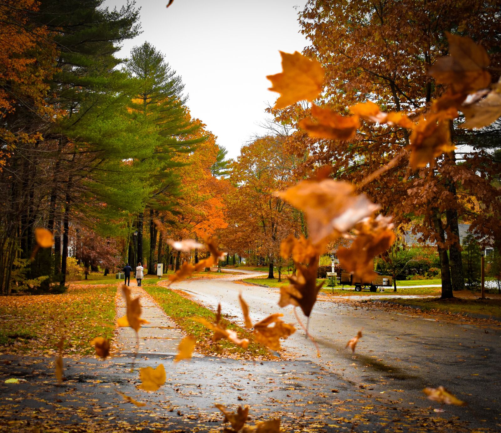 Nikon D3400 sample photo. Fall, autumn, colors photography
