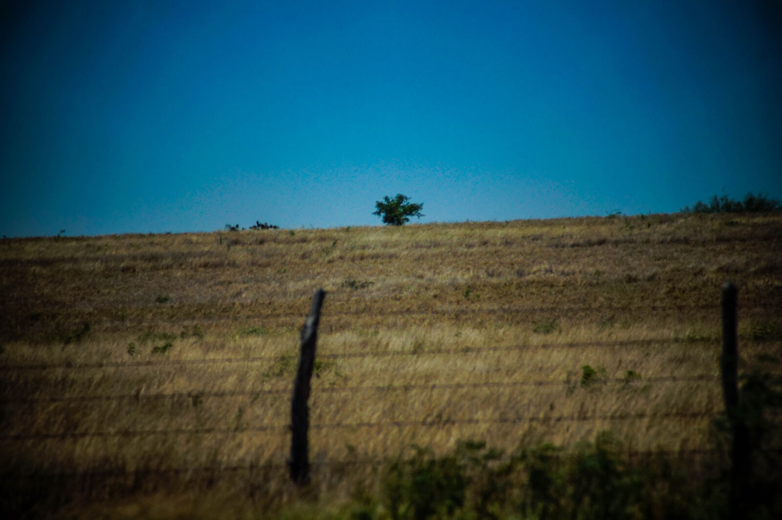 Sony Alpha a3000 sample photo