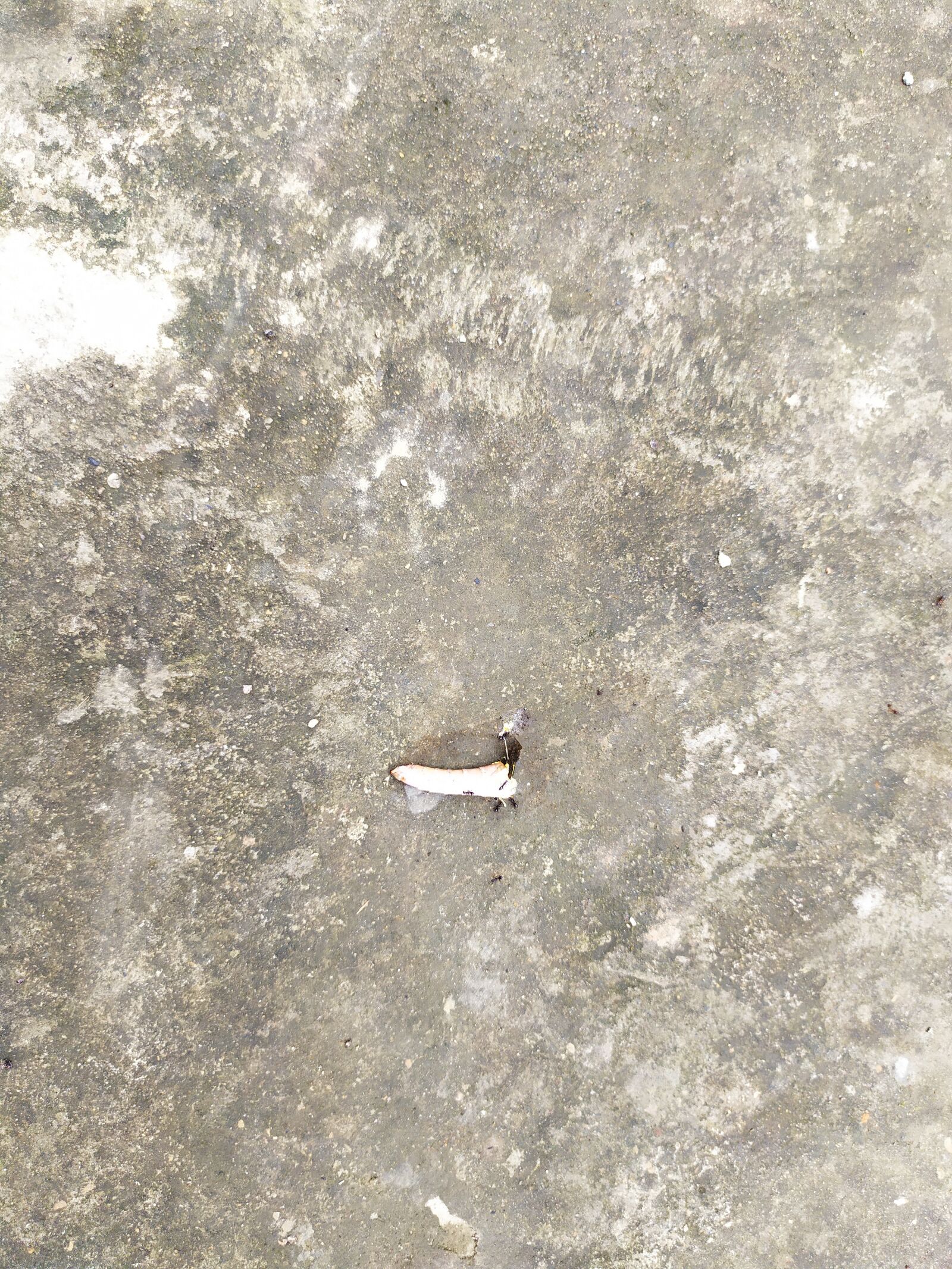 Xiaomi Redmi Note 7 sample photo. Part, loctus, floor photography