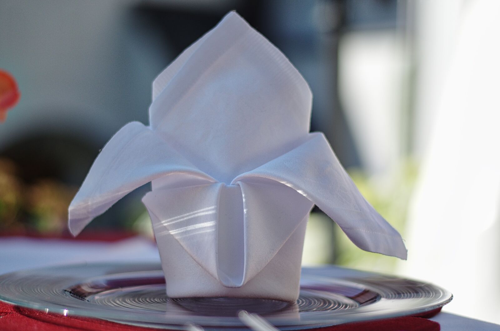 Nikon D5100 sample photo. Napkin, table, wedding photography