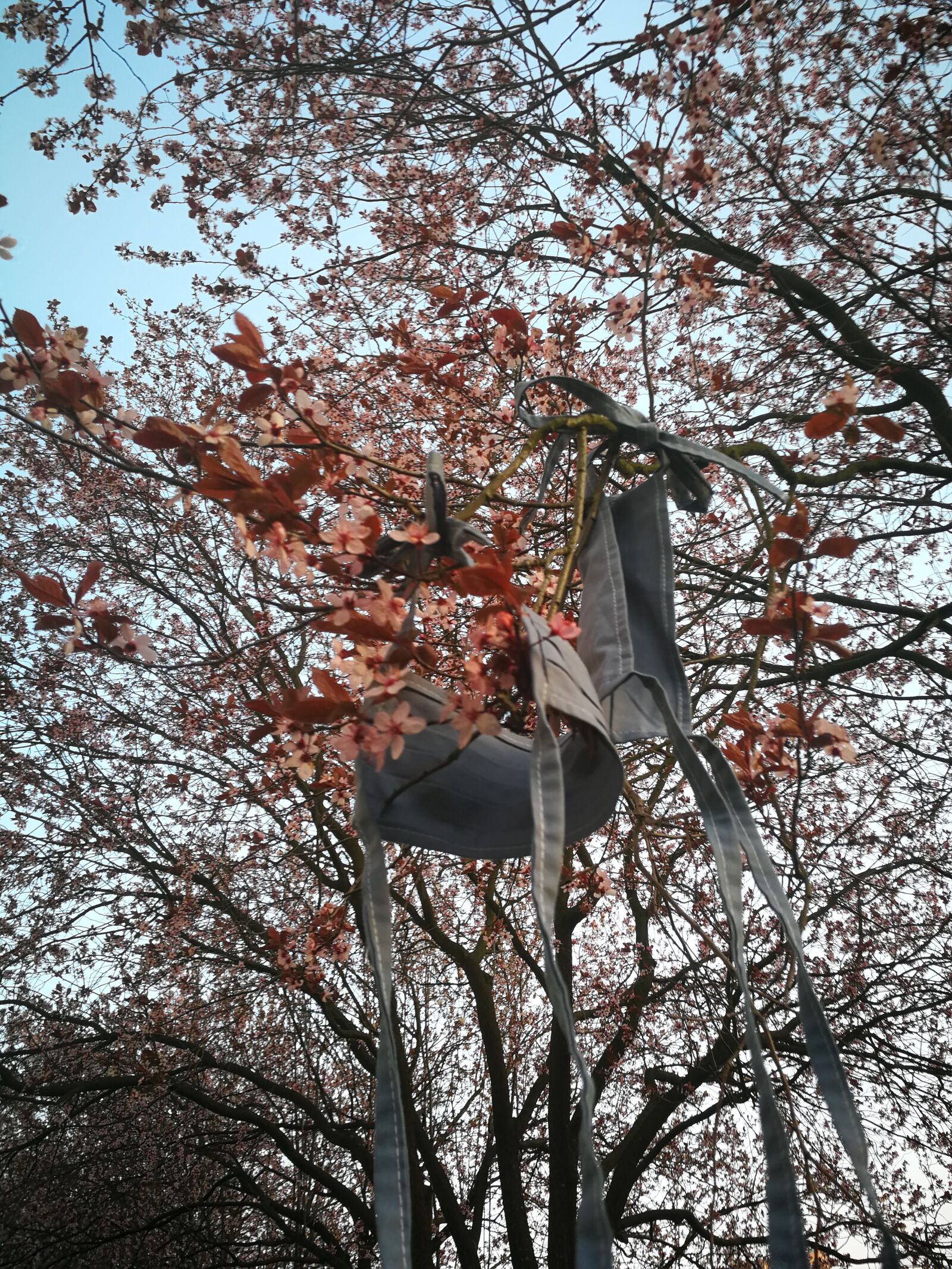 HUAWEI P10 sample photo. Rouskovnik, masks, spring photography
