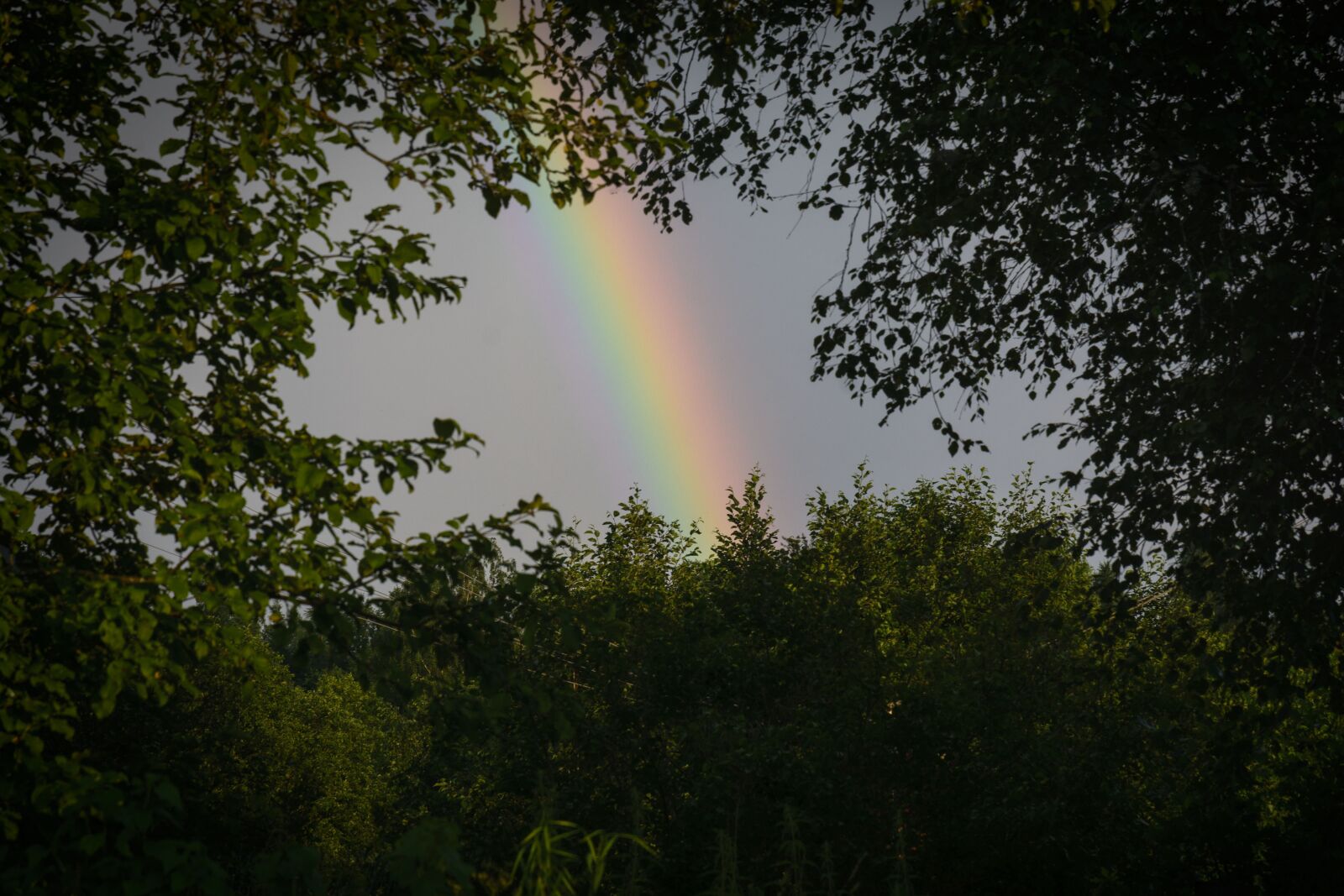 Nikon D7100 sample photo. Rainbow, summer, sky photography