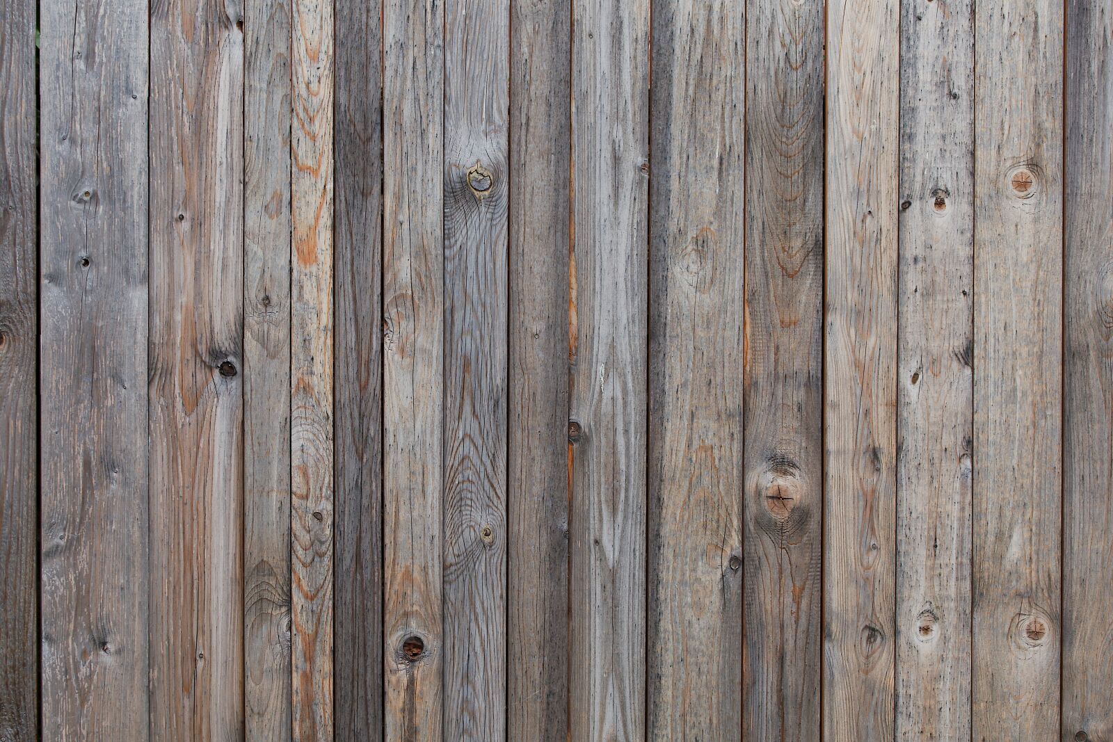 Canon EOS 6D sample photo. Wood, woods, rau photography