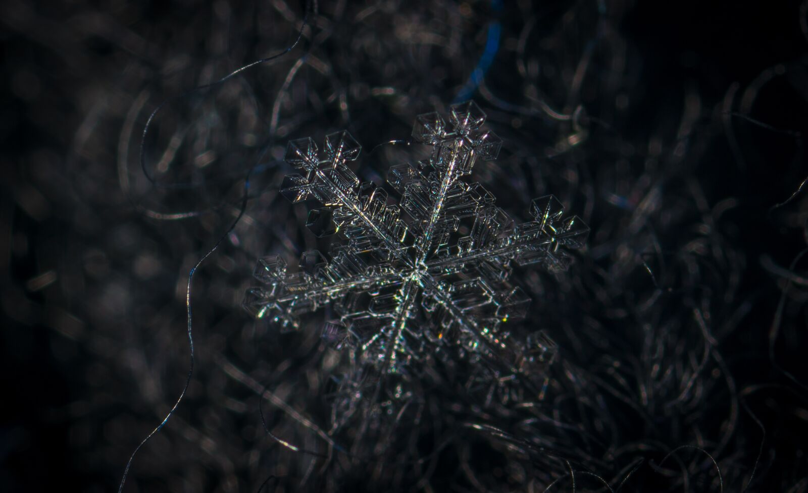 #124 65/2.8 sample photo. Snowflake, macro, snow photography