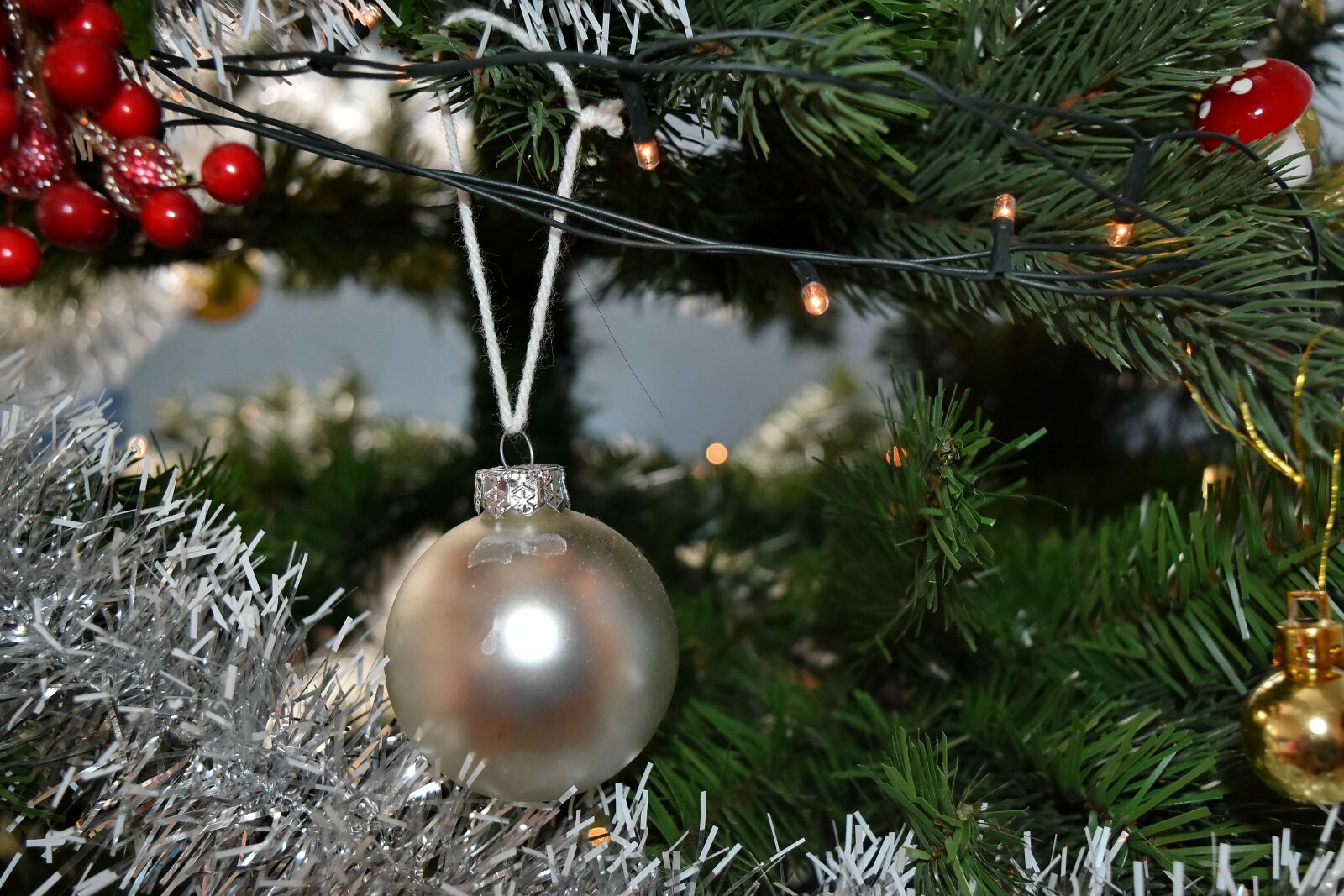 Nikon D5500 sample photo. Christmas, christmas tree, light photography