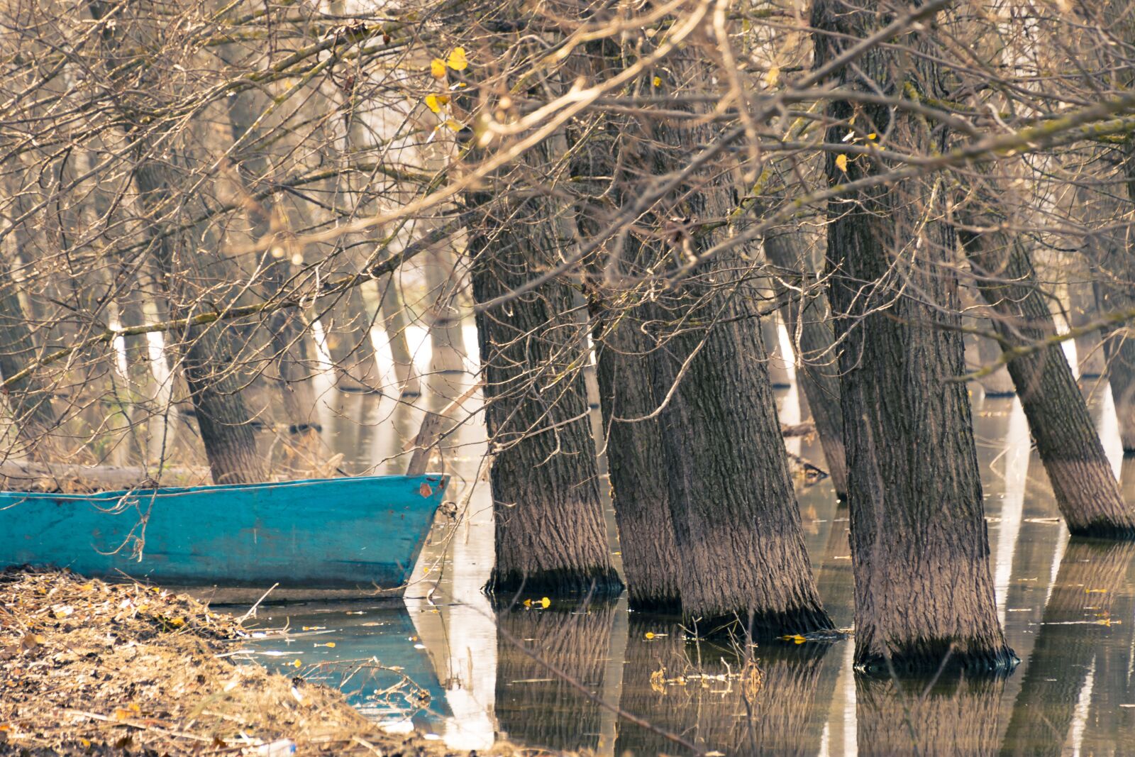 Nikon D5300 sample photo. Boat, lake, trees in photography