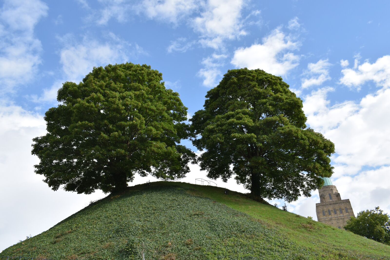Nikon D3300 sample photo. Oxford, tree, sky photography