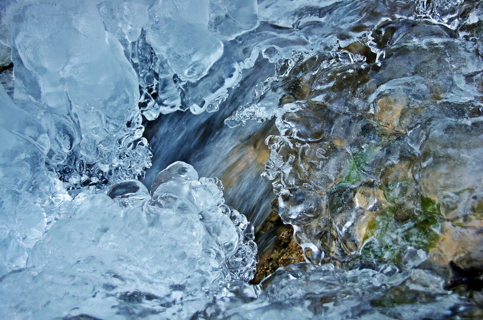 Pentax K-5 sample photo. Close, up, of, frozen photography