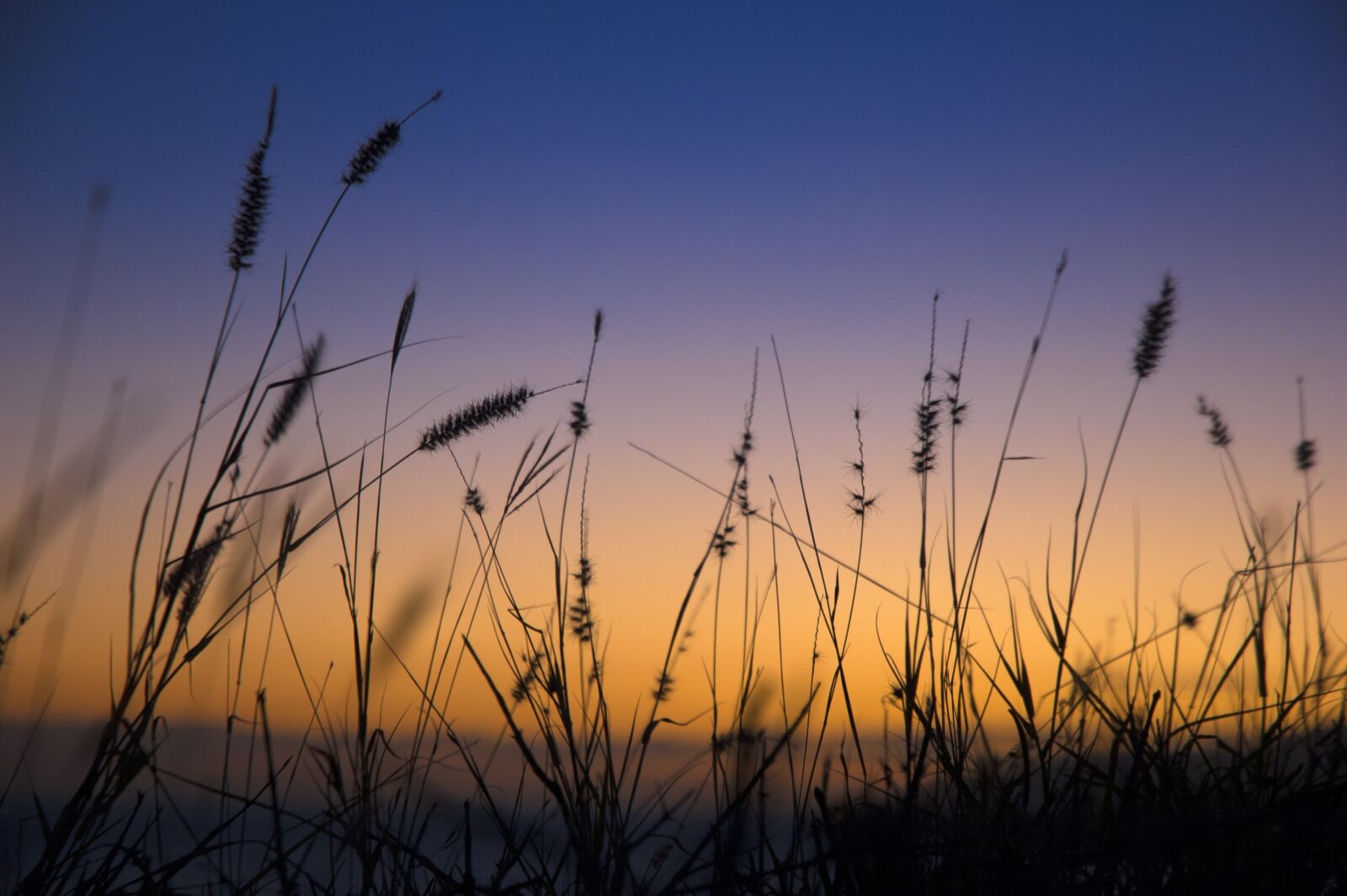 Nikon D70s sample photo. Sunset, sky, landscape photography