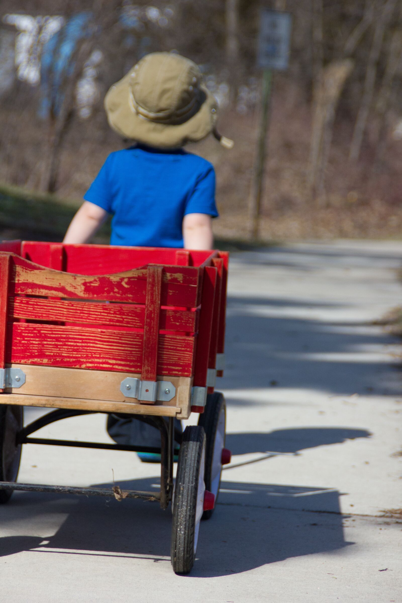 Canon EOS 550D (EOS Rebel T2i / EOS Kiss X4) sample photo. Boy, wagon, outdoor photography