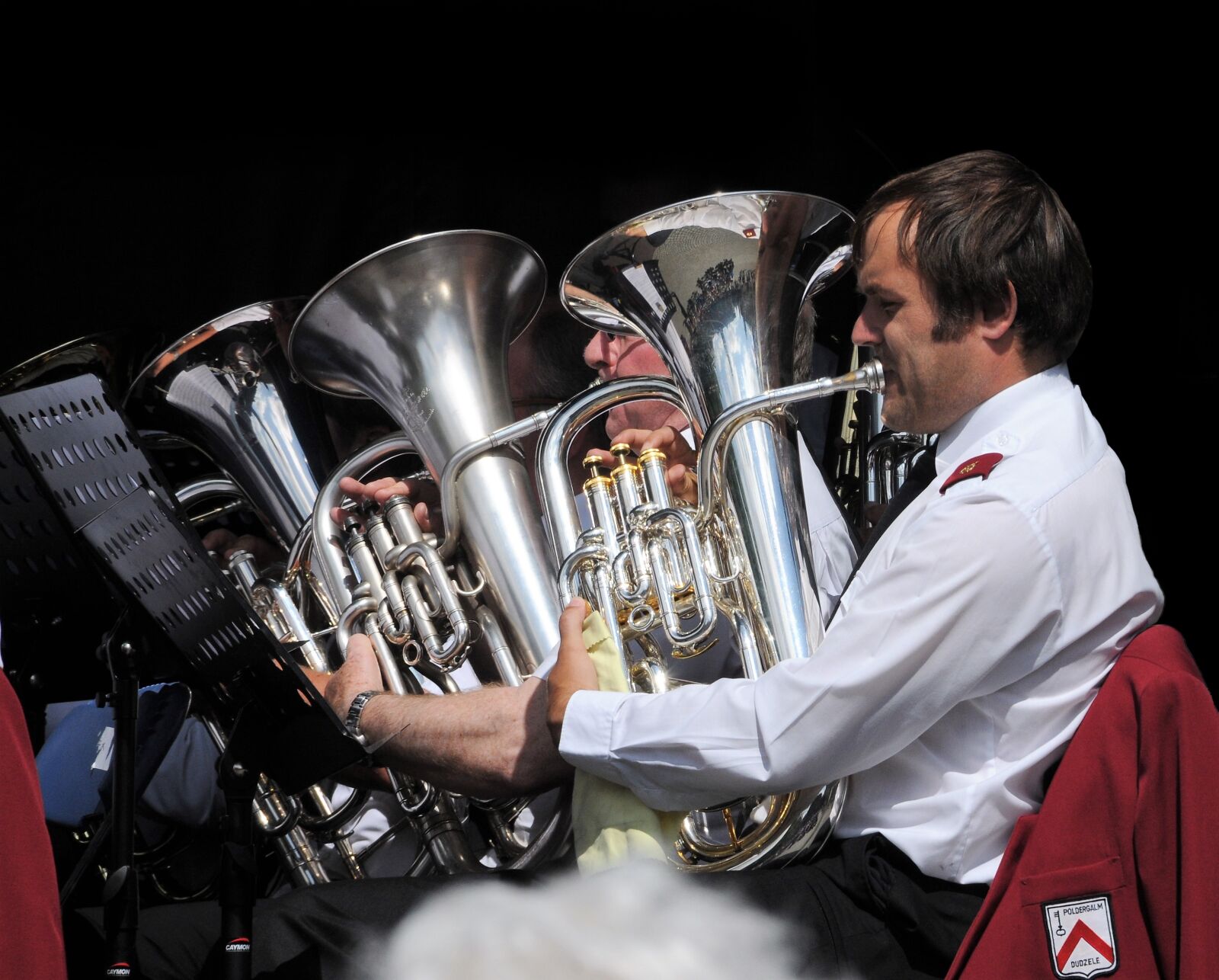Nikon D300 sample photo. Tuba, orchestra, brass photography