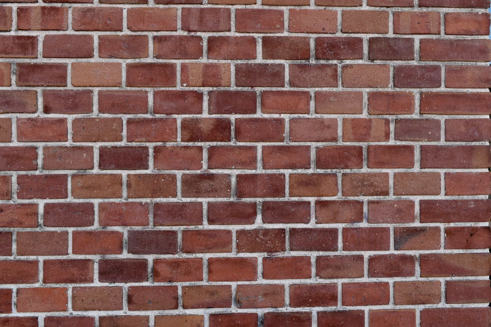 Nikon D5500 sample photo. Bricks, old, surface, wall photography