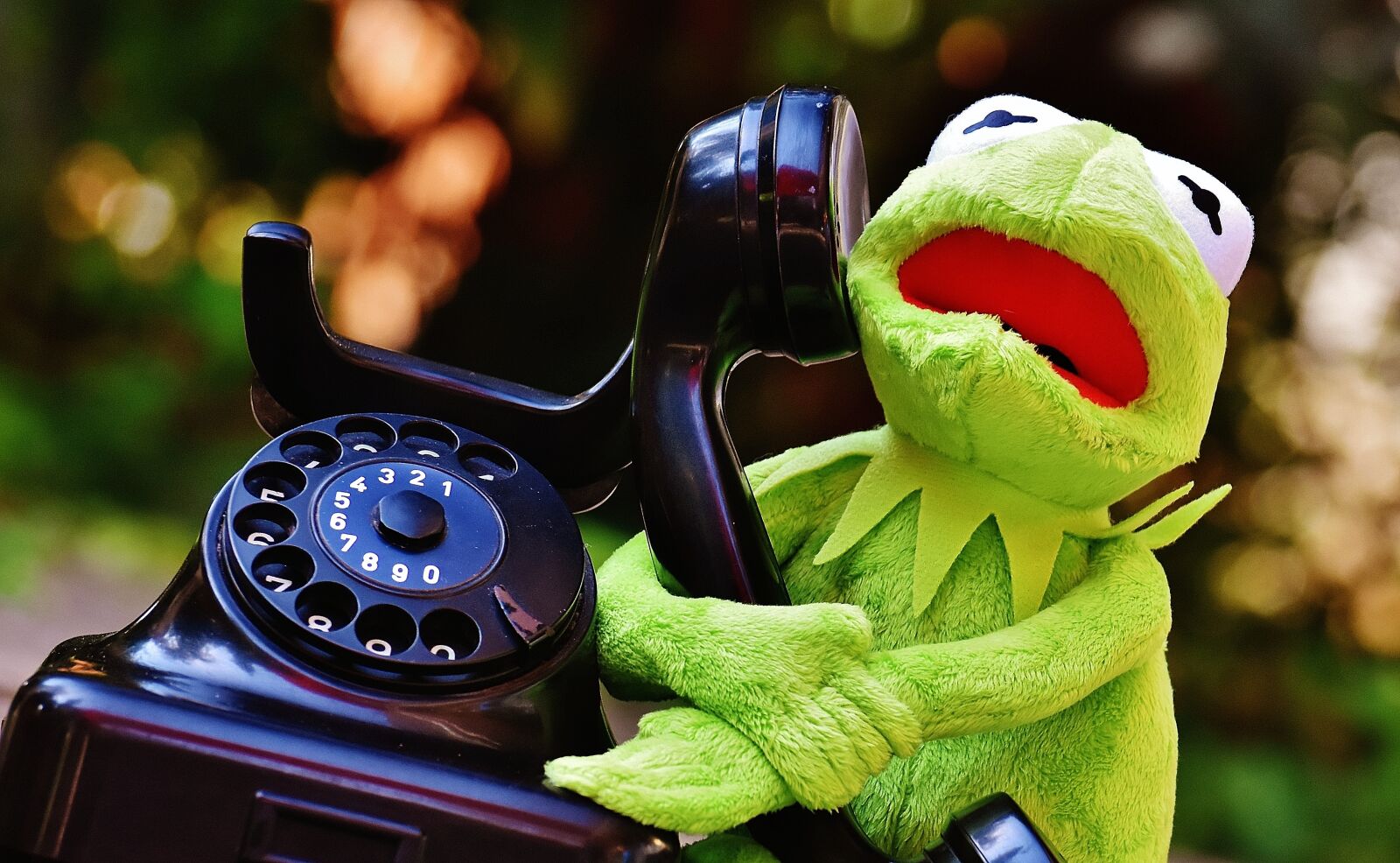 Nikon D7200 sample photo. Kermit, frog, phone photography