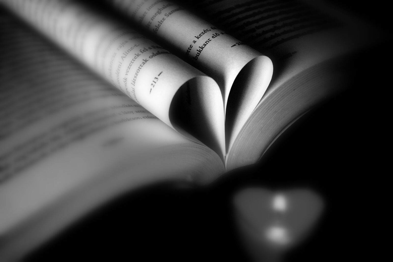Nikon D3400 sample photo. Book, candle, heart photography