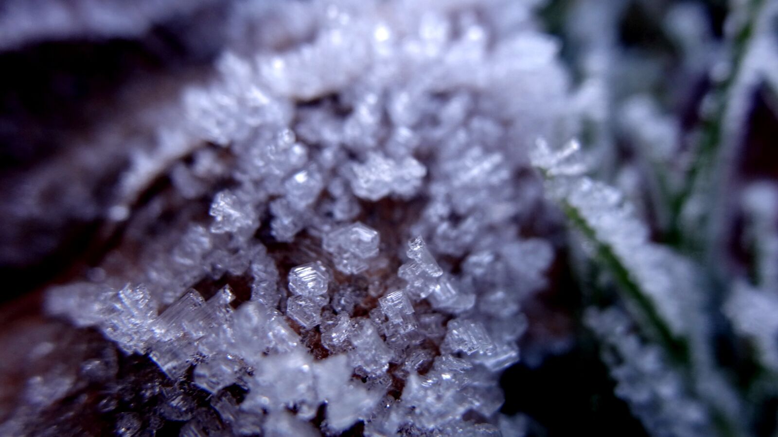 Sony Cyber-shot DSC-HX20V sample photo. Frost, nature, frozen photography