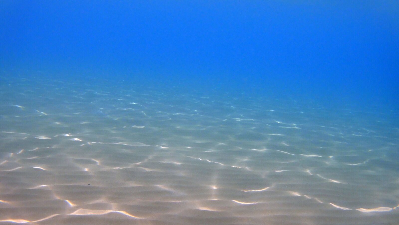Sony Cyber-shot DSC-TX5 sample photo. Blue, underwater, marine photography