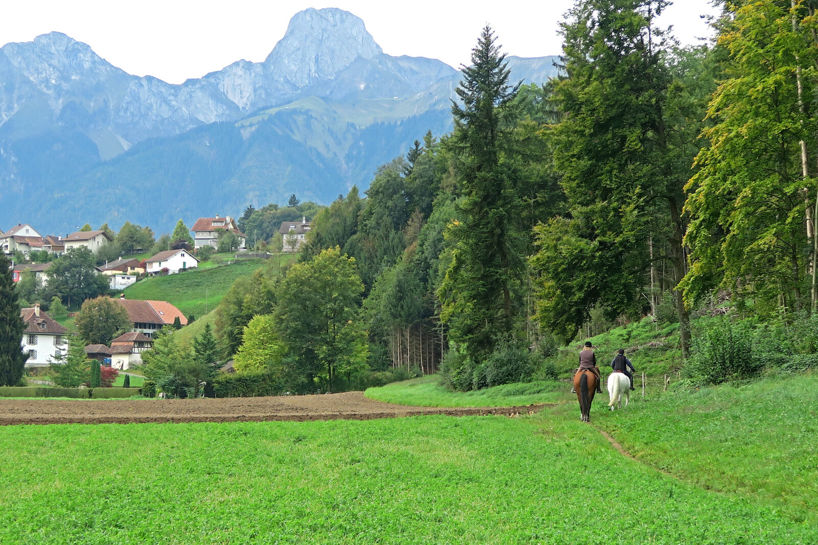 Canon PowerShot G7 X sample photo. Countryside, forest, grass, hill photography