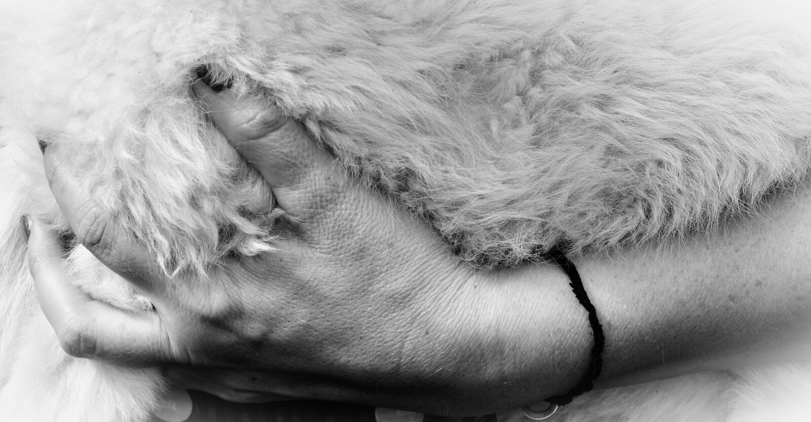 Nikon D5200 sample photo. Hand, fur, sheepskin photography