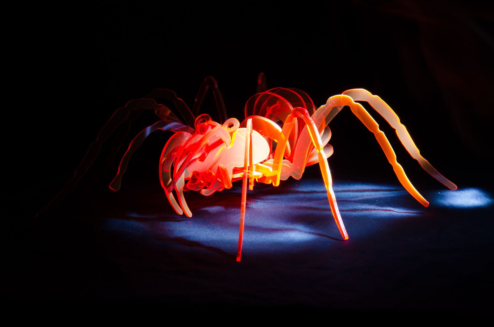 Nikon D5100 sample photo. Spider, acrylic, light painting photography
