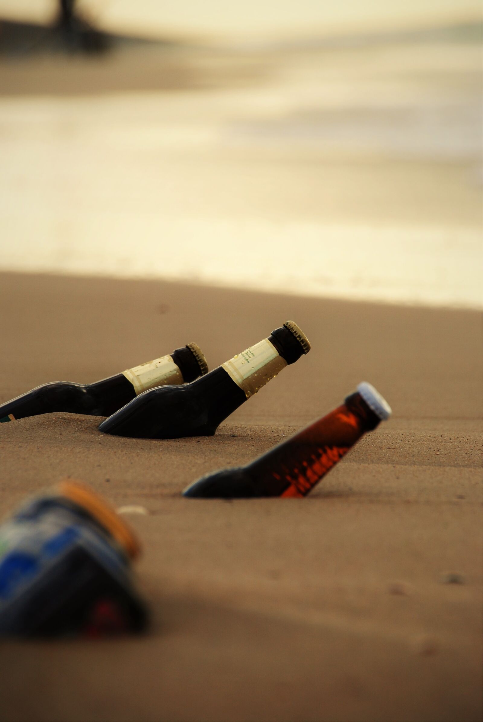 Nikon D3000 sample photo. Beer, beach, bottles photography