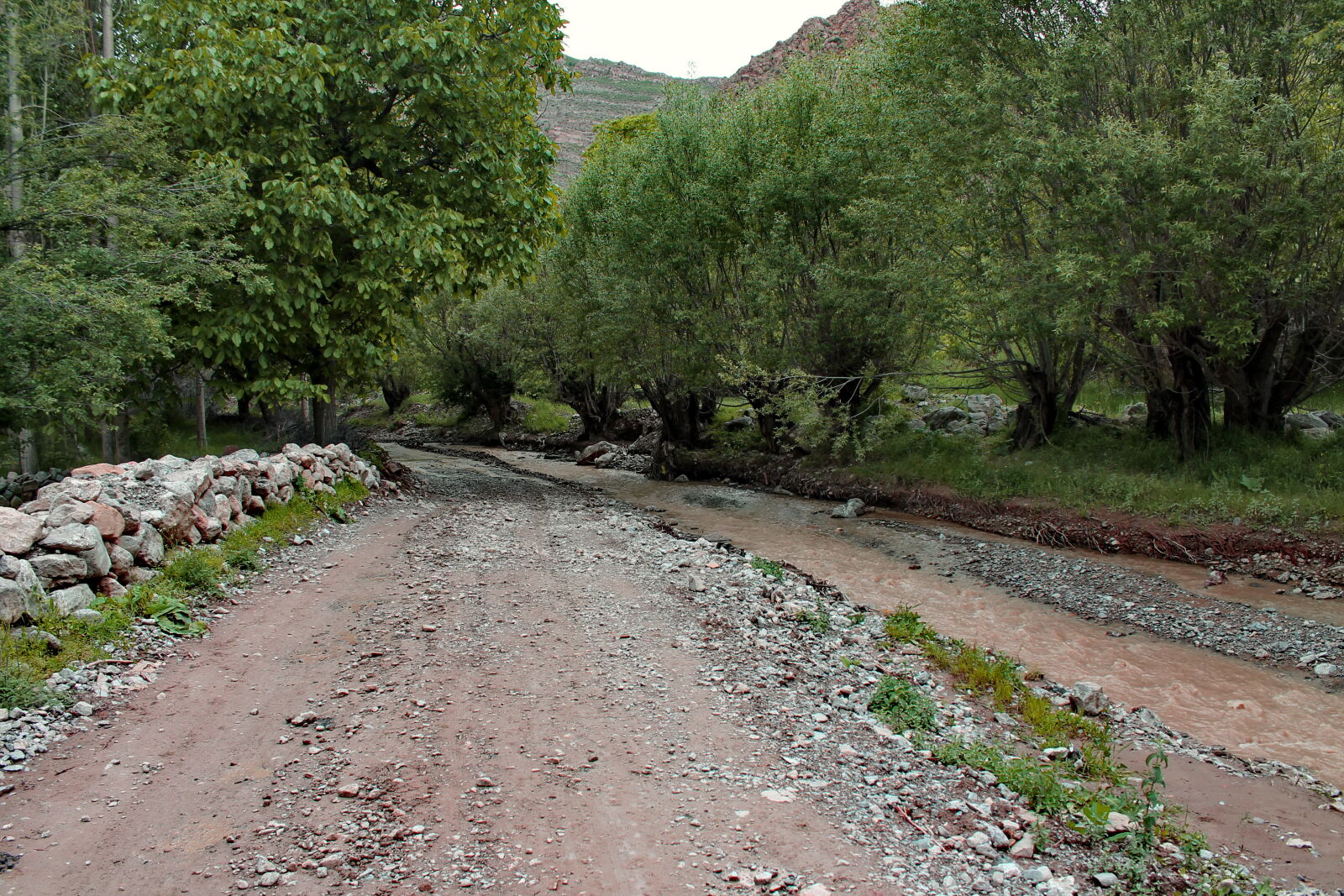 Canon EOS 1100D (EOS Rebel T3 / EOS Kiss X50) sample photo. By, way, nature photography