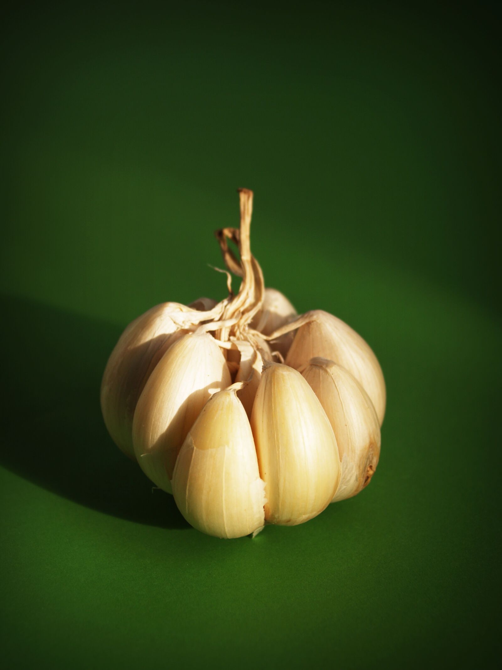 Olympus E-300 (EVOLT E-300) sample photo. Garlic, meals, seasoning photography